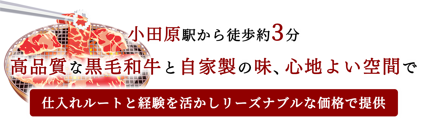 20250808_aun10